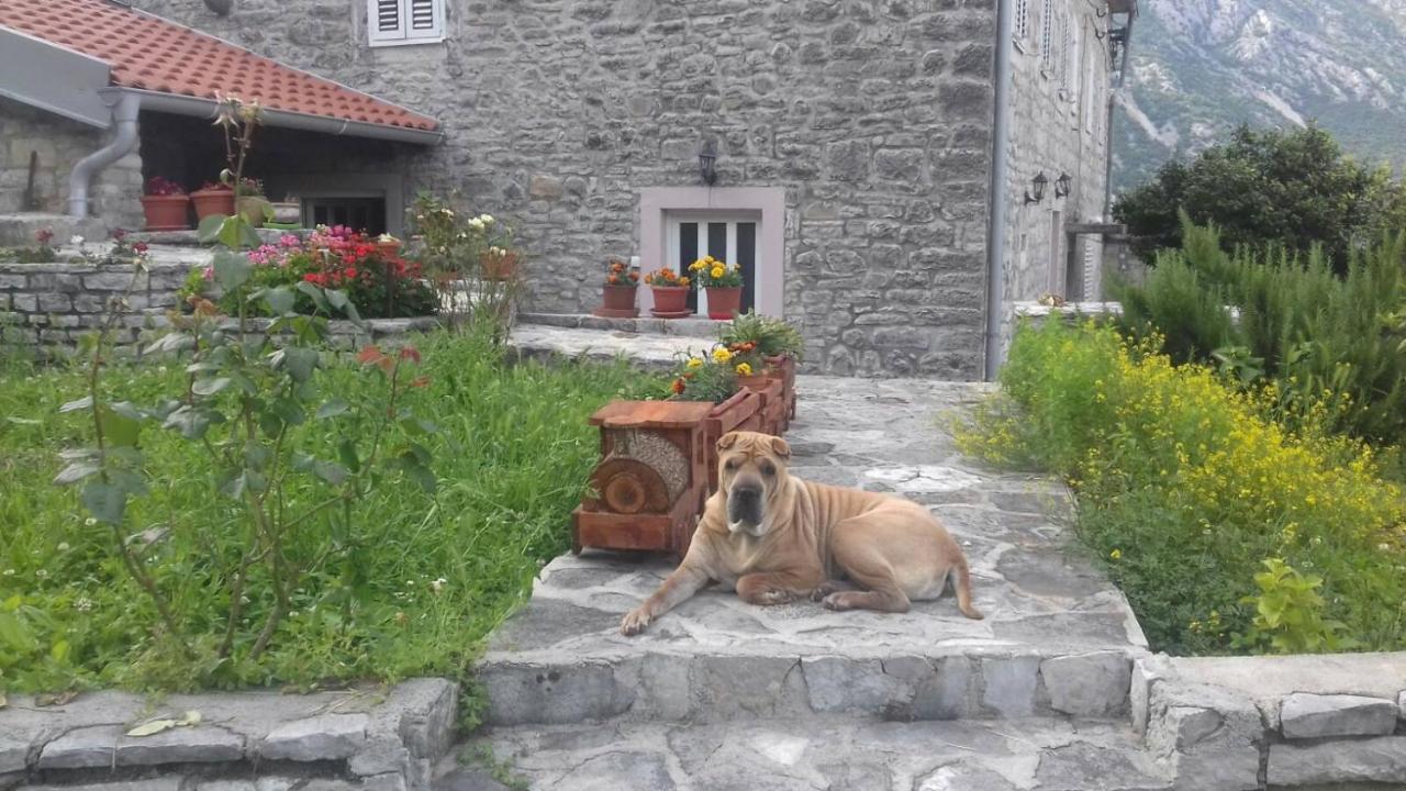 Guest House Maza Kotor Luaran gambar