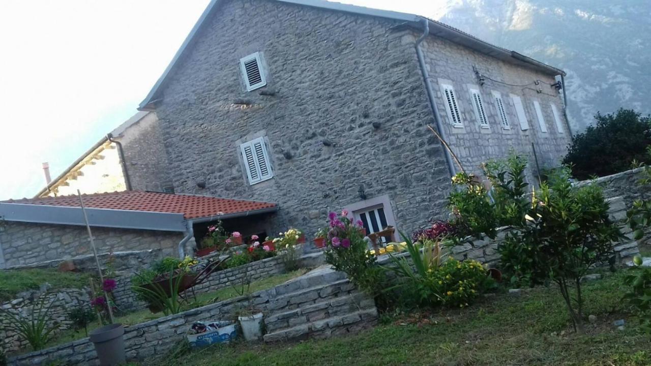 Guest House Maza Kotor Luaran gambar
