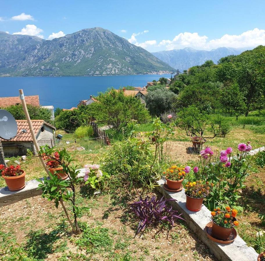 Guest House Maza Kotor Luaran gambar