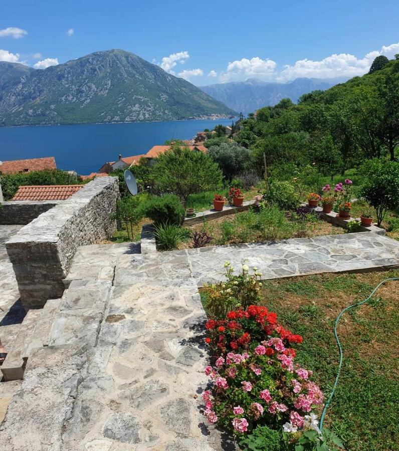 Guest House Maza Kotor Luaran gambar