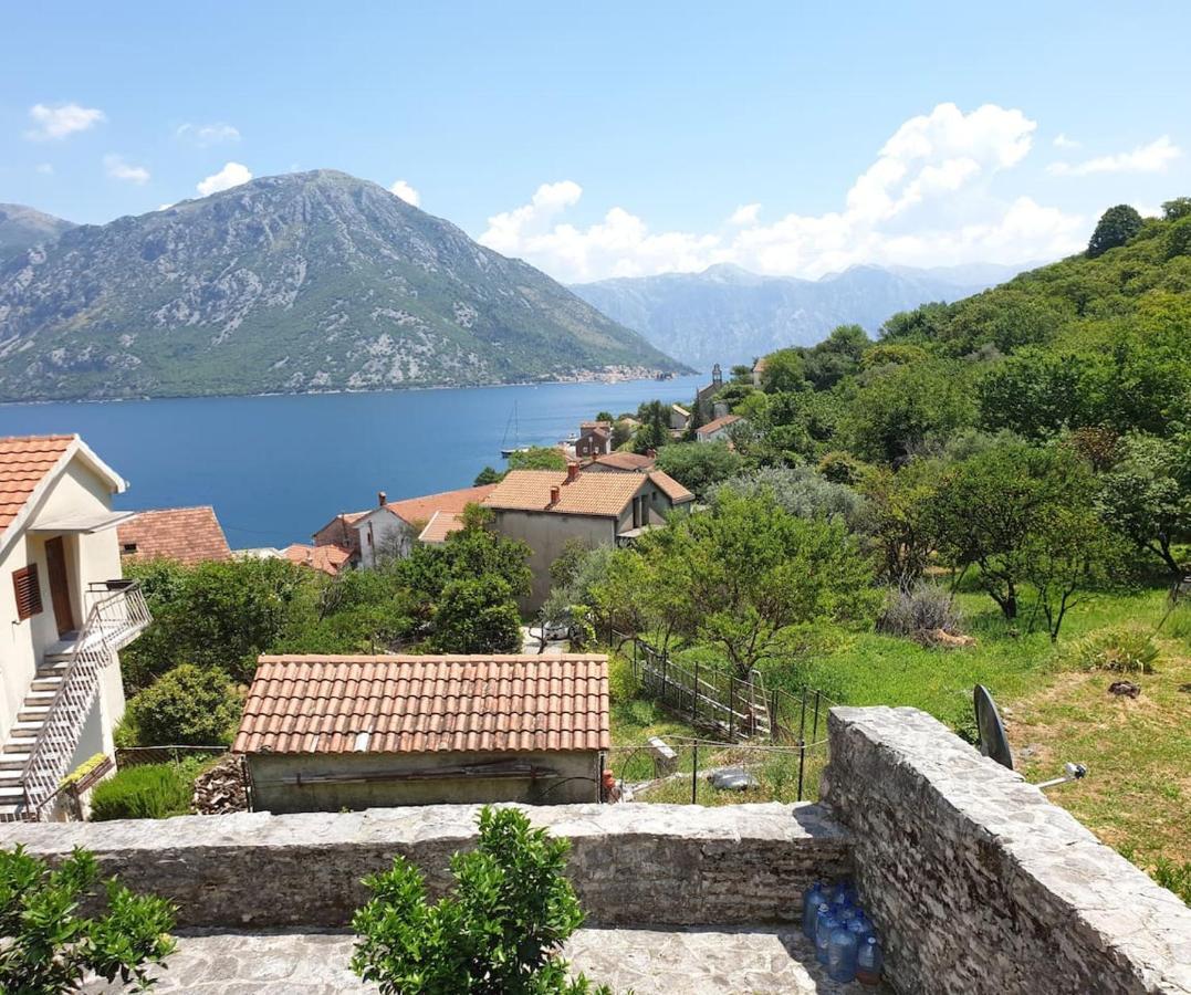 Guest House Maza Kotor Luaran gambar
