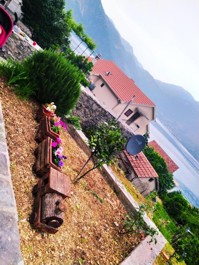 Guest House Maza Kotor Luaran gambar